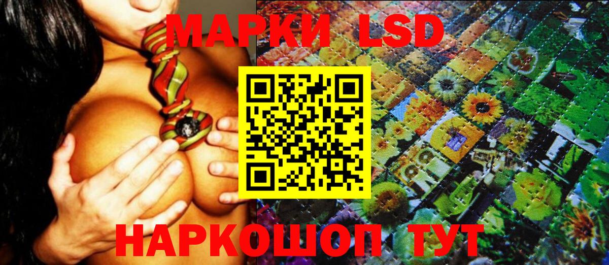 Медногорск  Наркотические марки  Вход с VPN  Марки NBOMe 1,8мг  наркотики  Марки NBOMe 1,8мг 