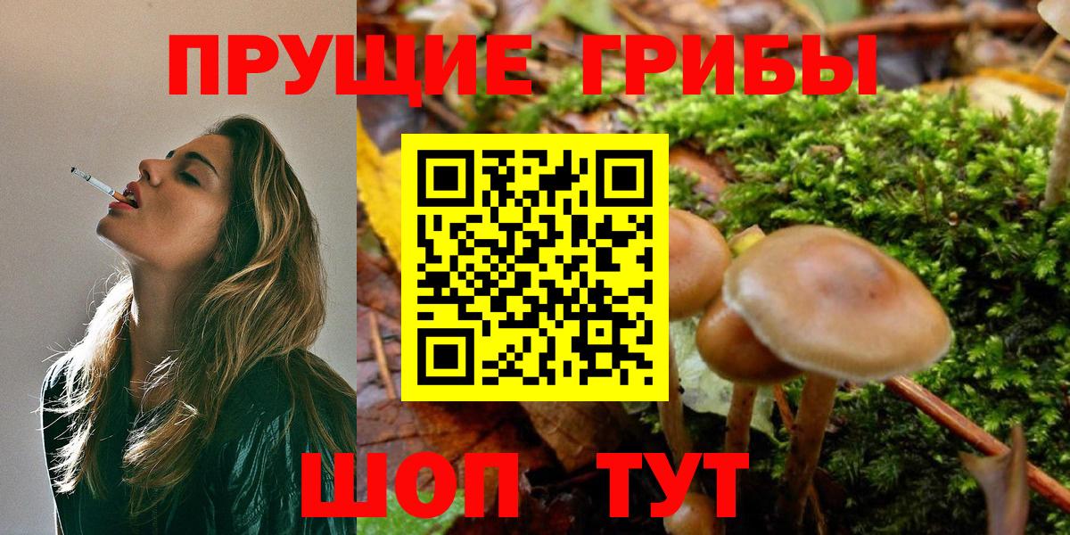 Псилоцибиновые грибы мухоморы Медногорск